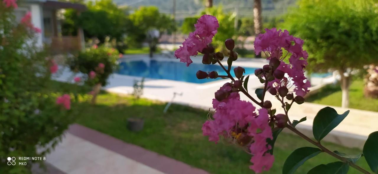 Green Garden Otel Kemer Buitenkant foto